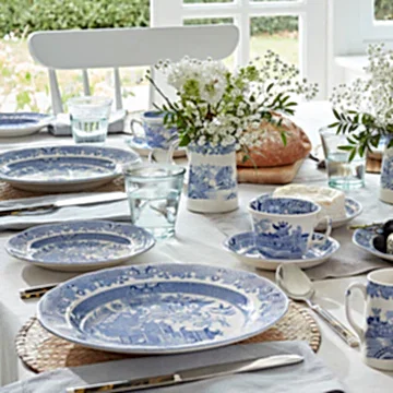 Blue Willow Teacup & Saucer