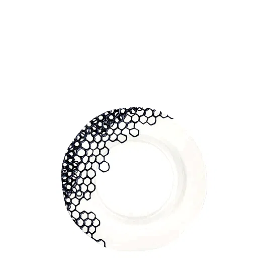 Ink Blue Pollen Plate 19cm